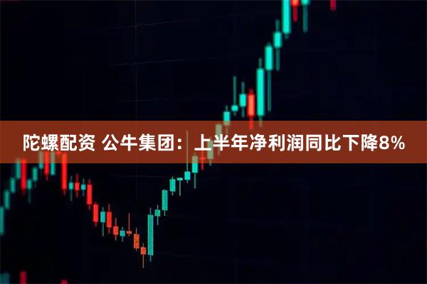 陀螺配资 公牛集团:上半年净利润同比下降8%