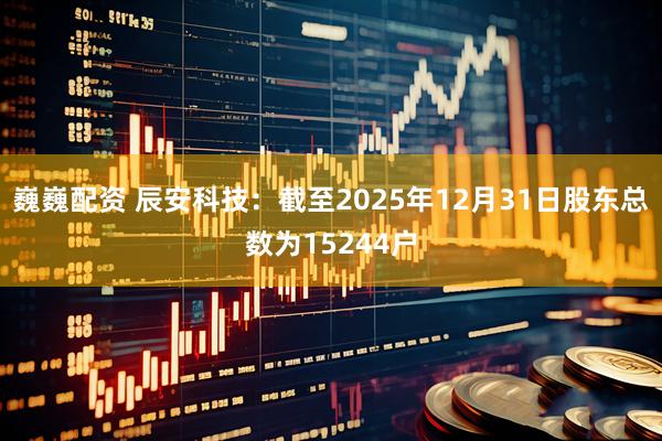 巍巍配资 辰安科技：截至2025年12月31日股东总数为15244户